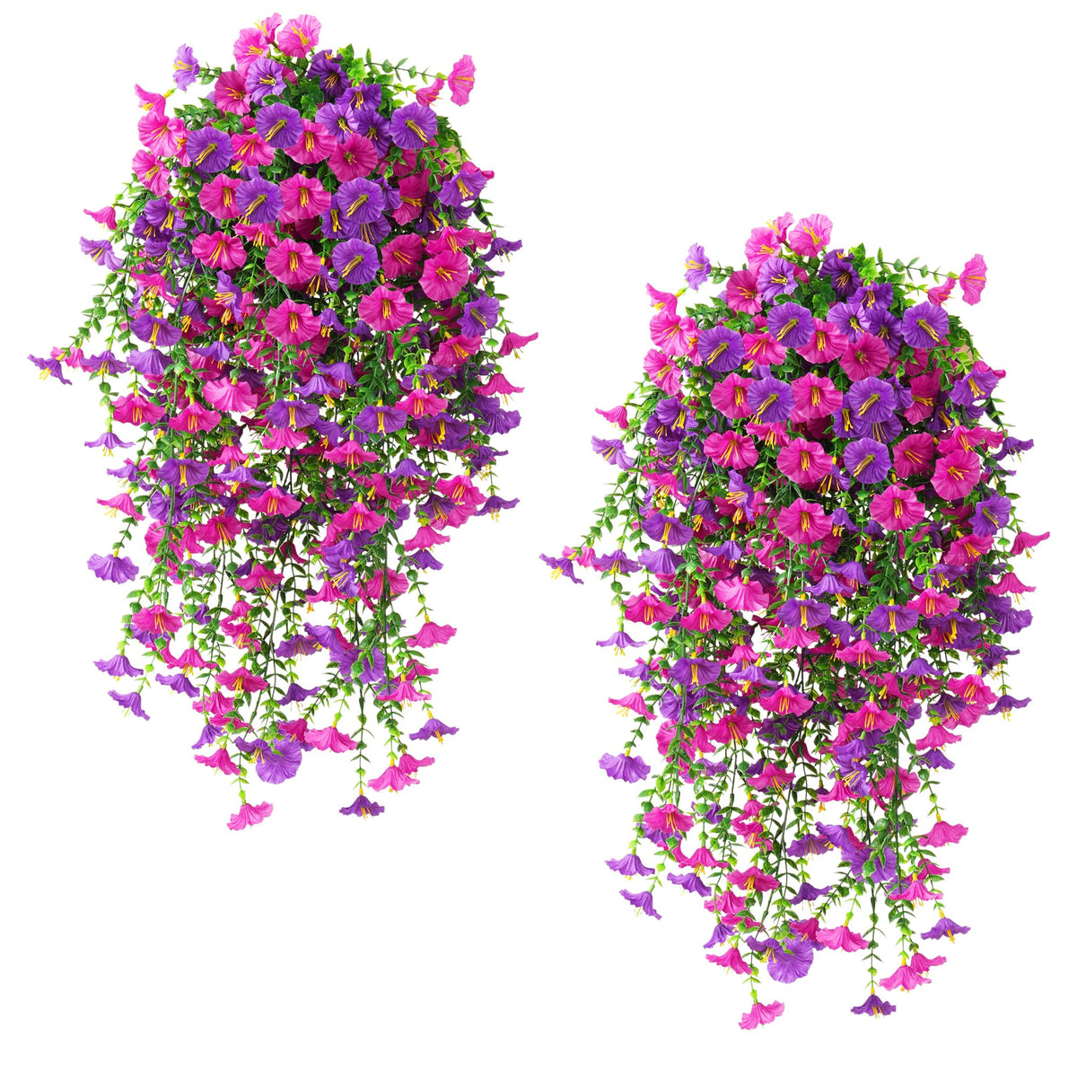 Fanfantoey morning glory vines in outdoor planters add lasting color.