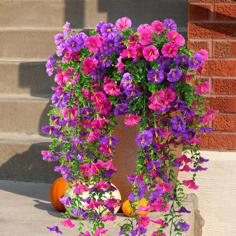 Fanfantoey petals stay vibrant with minimal maintenance outdoors.