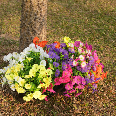 Fanfantoey eucalyptus accents with morning glory for seasonal color.