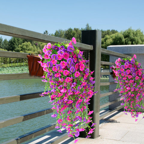 Fanfantoey mix of vines and leaves enhances outdoor mood.