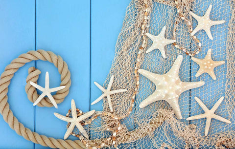 Fangoo white finger starfish embellishment for walls