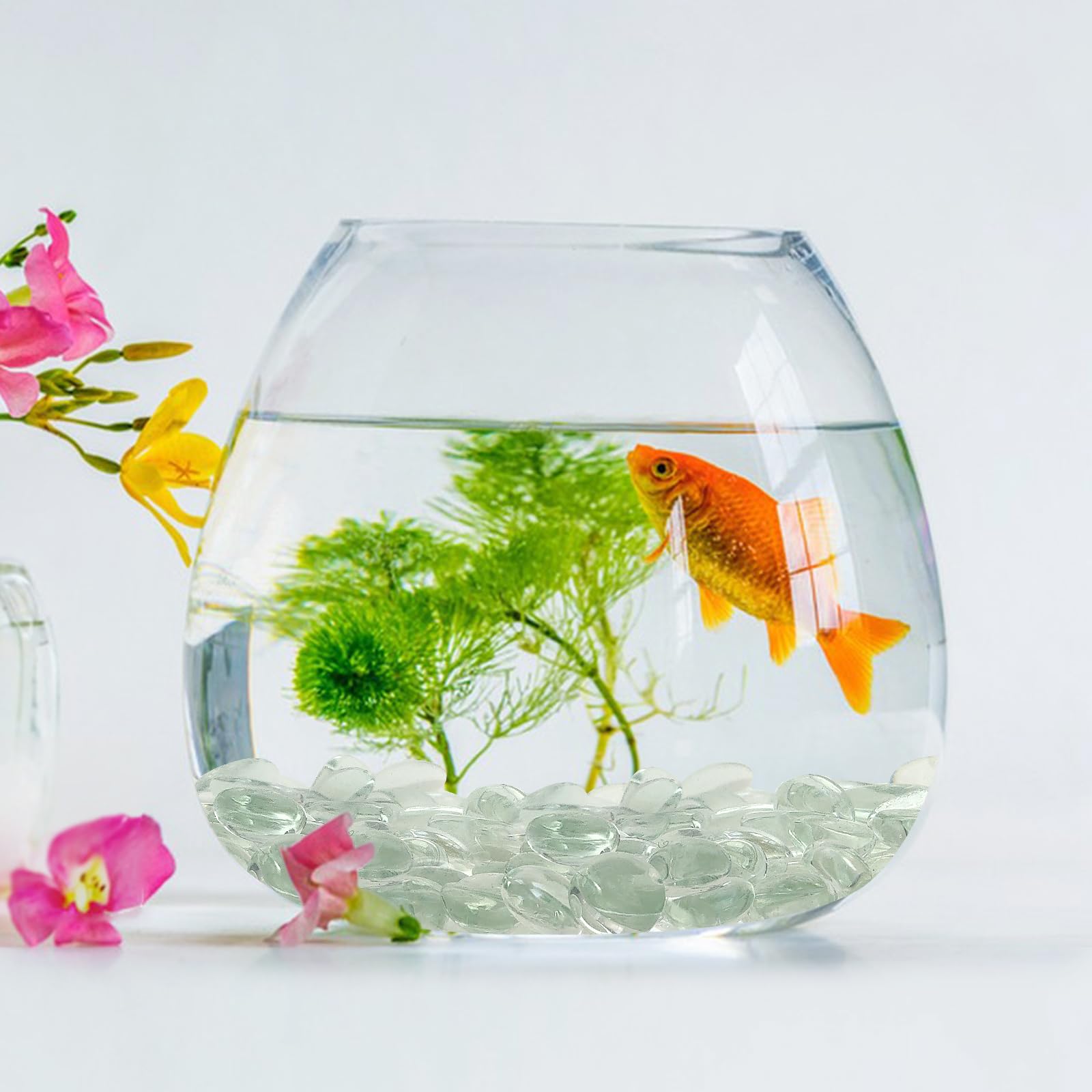 FANTIAN aquarium-safe glass pebbles ideal for tanks and plant displays.