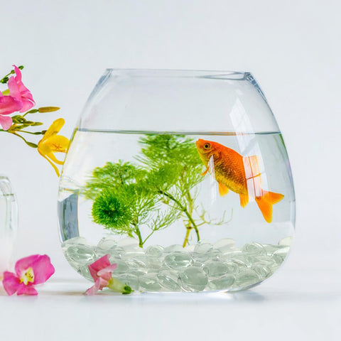FANTIAN aquarium-safe glass pebbles ideal for tanks and plant displays.