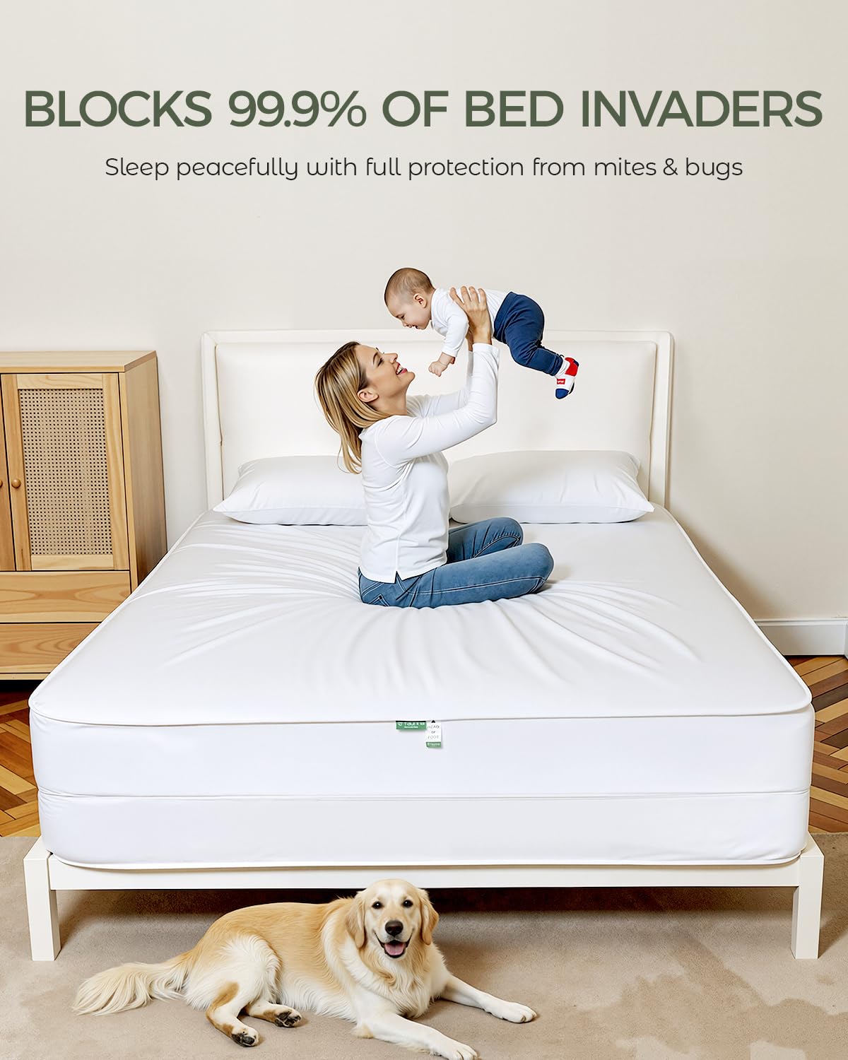 FAUNNA machine-washable-cover simplifies cleaning and maintenance.