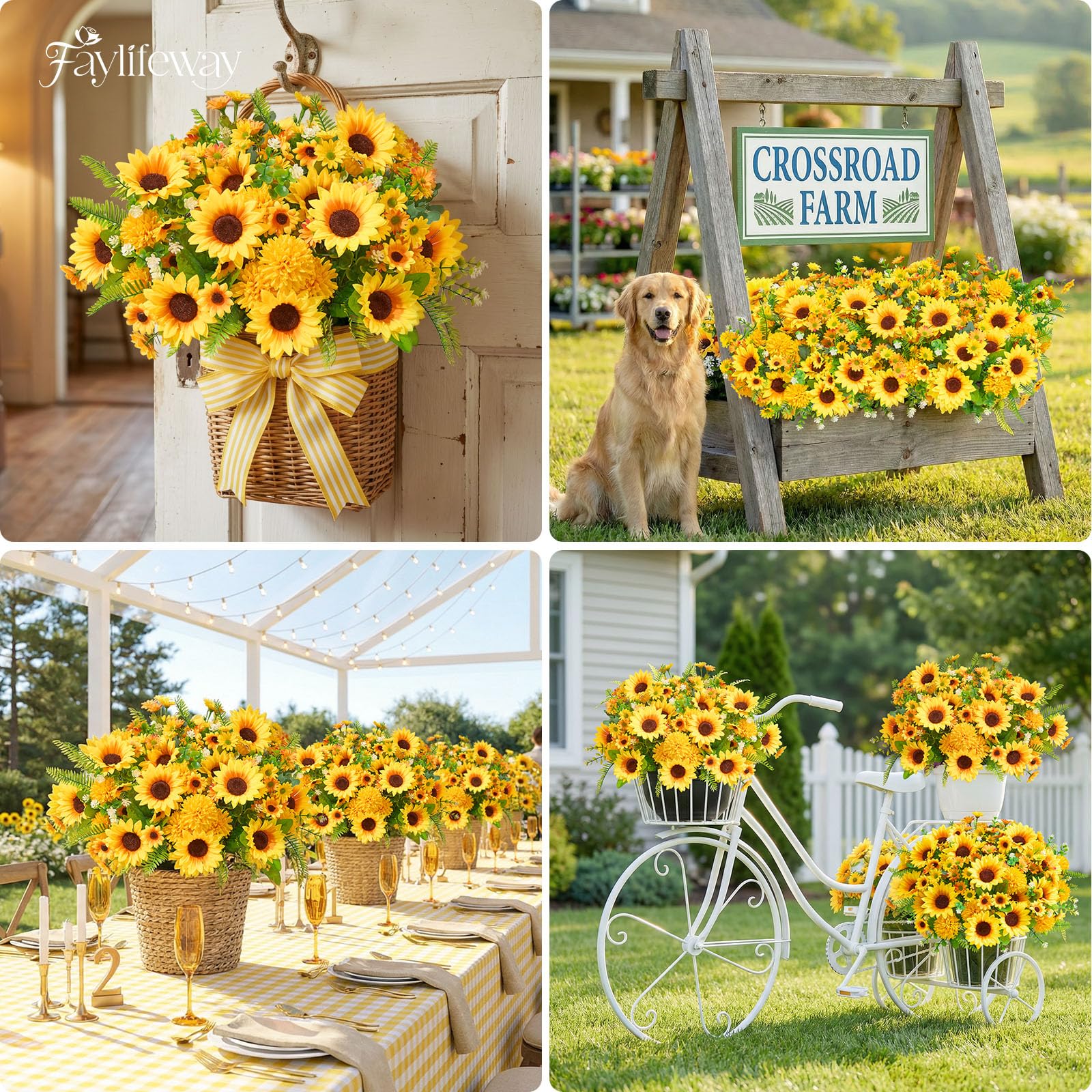 Faylifeway size guide for sunflowers and daisies in planters