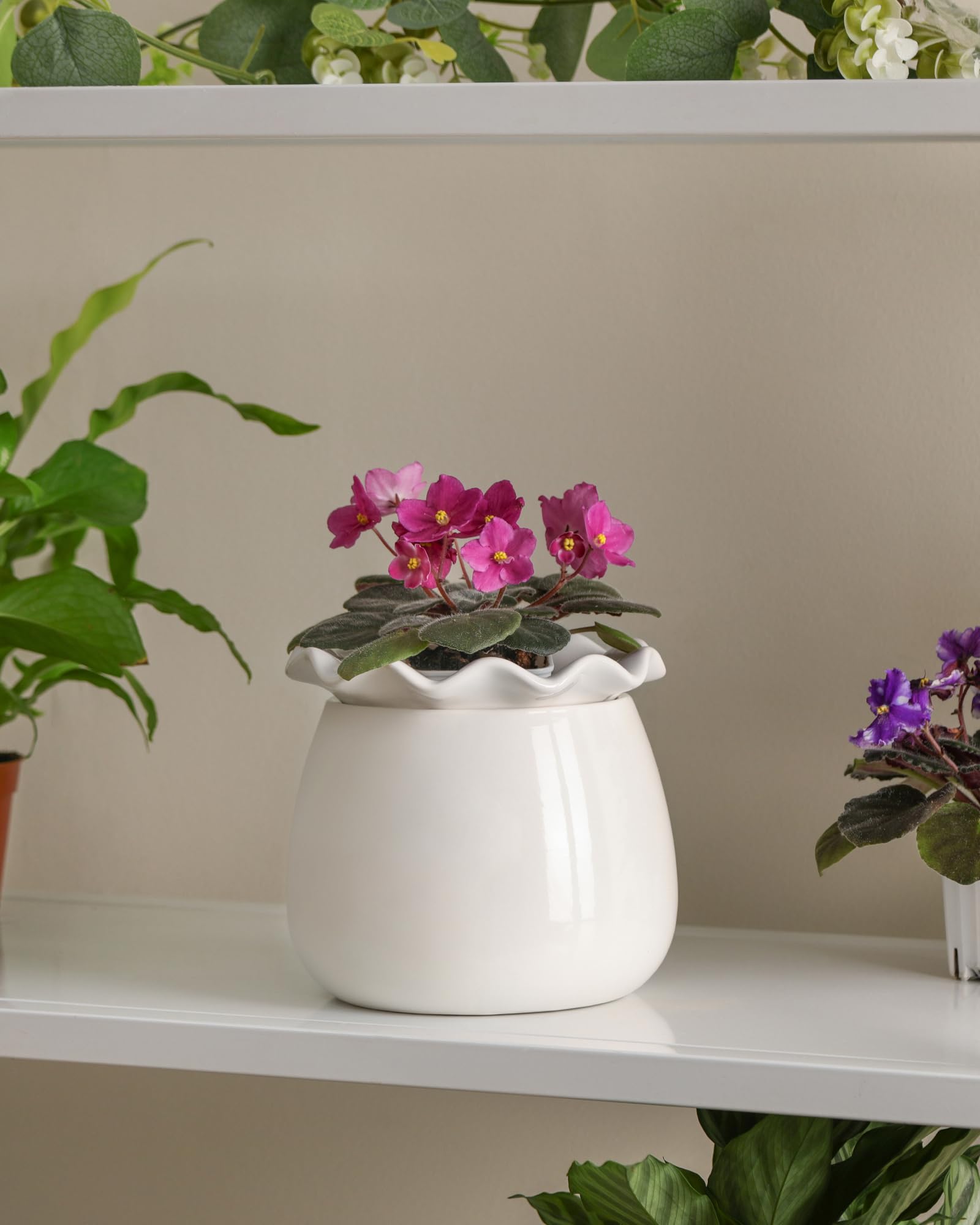 Fayoula sturdy ceramic base provides long-lasting support for indoor greenery