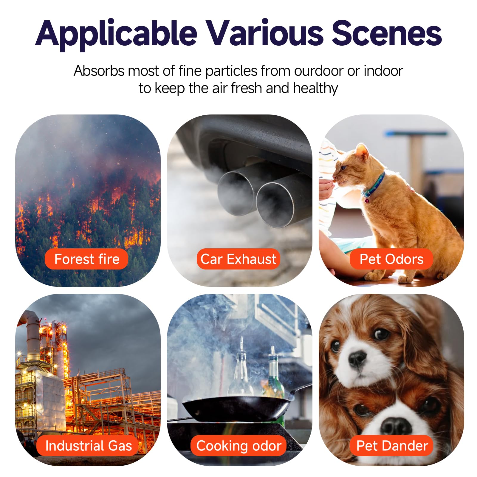FCFMY HAP602 long-lasting filtration up to 12 months of use.