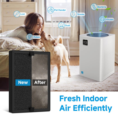 FCFMY KF250 HEPA media traps fine particles