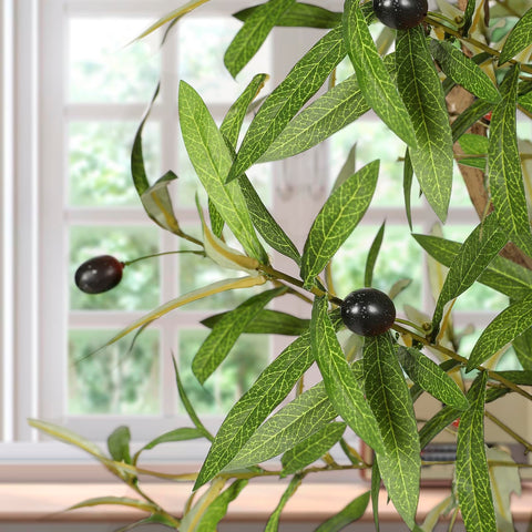 FEELEAD olive tree with fruit detailing adds natural color to spaces.