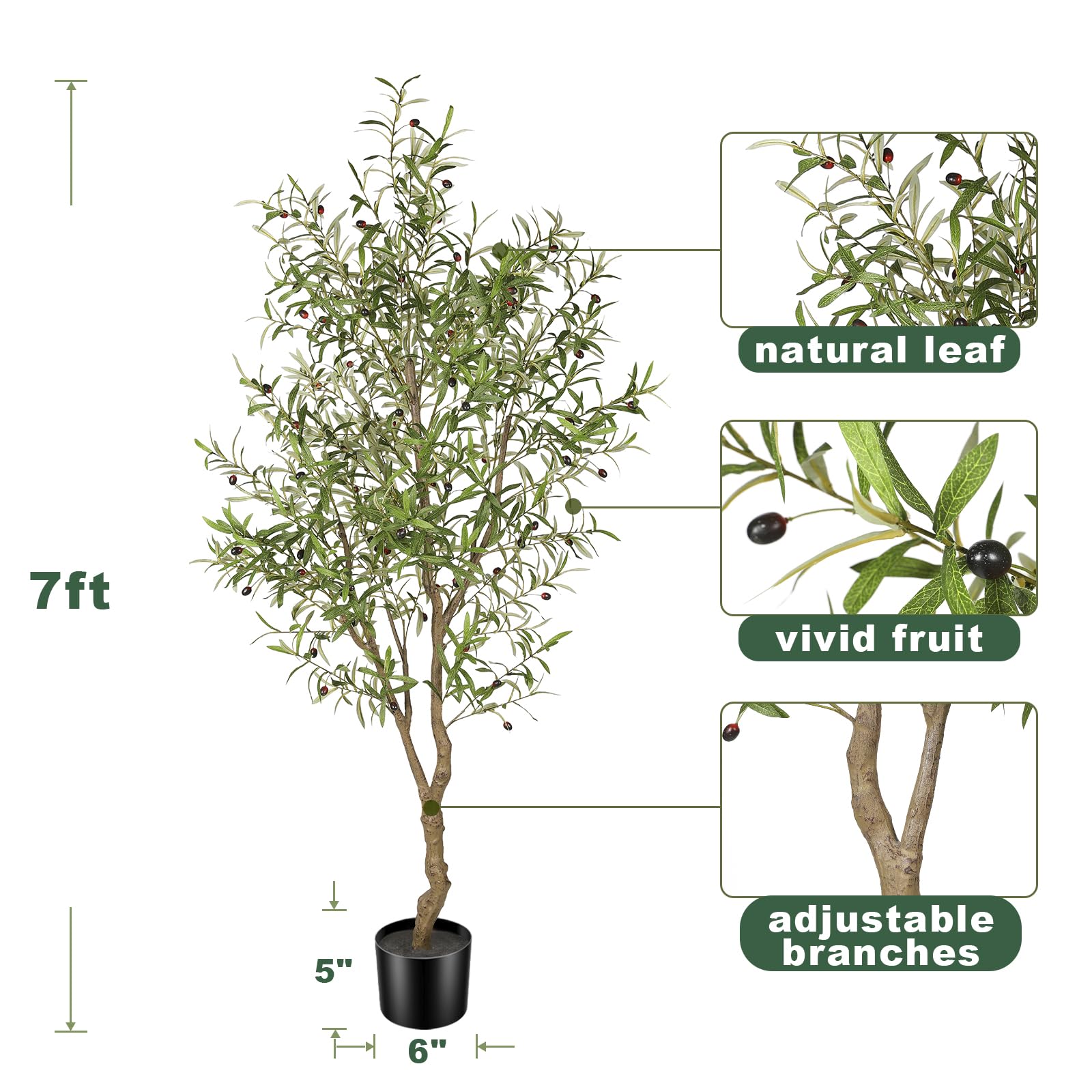 FEELEAD 7ft olive tree planter provides stable footing.