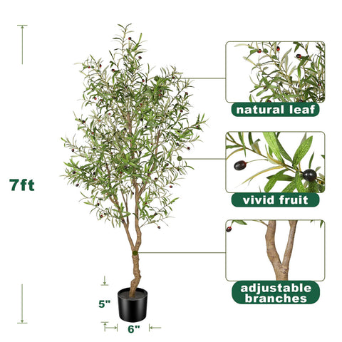 FEELEAD 7ft olive tree planter provides stable footing.