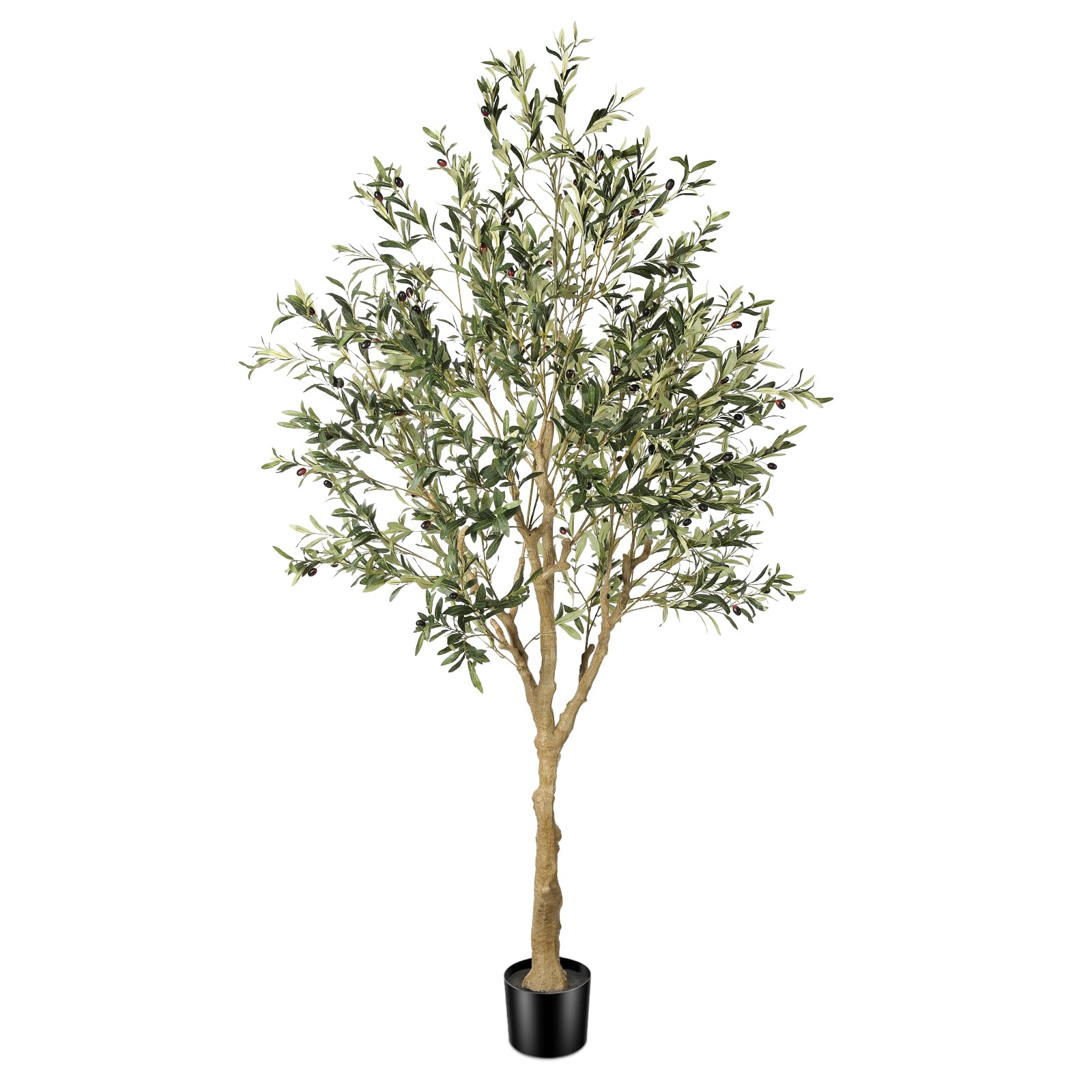 FEELEAD 7ft olive tree full view for dramatic indoor greenery and height