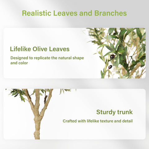 FEELEAD olive tree 7ft potted base offers stable decorative focal point