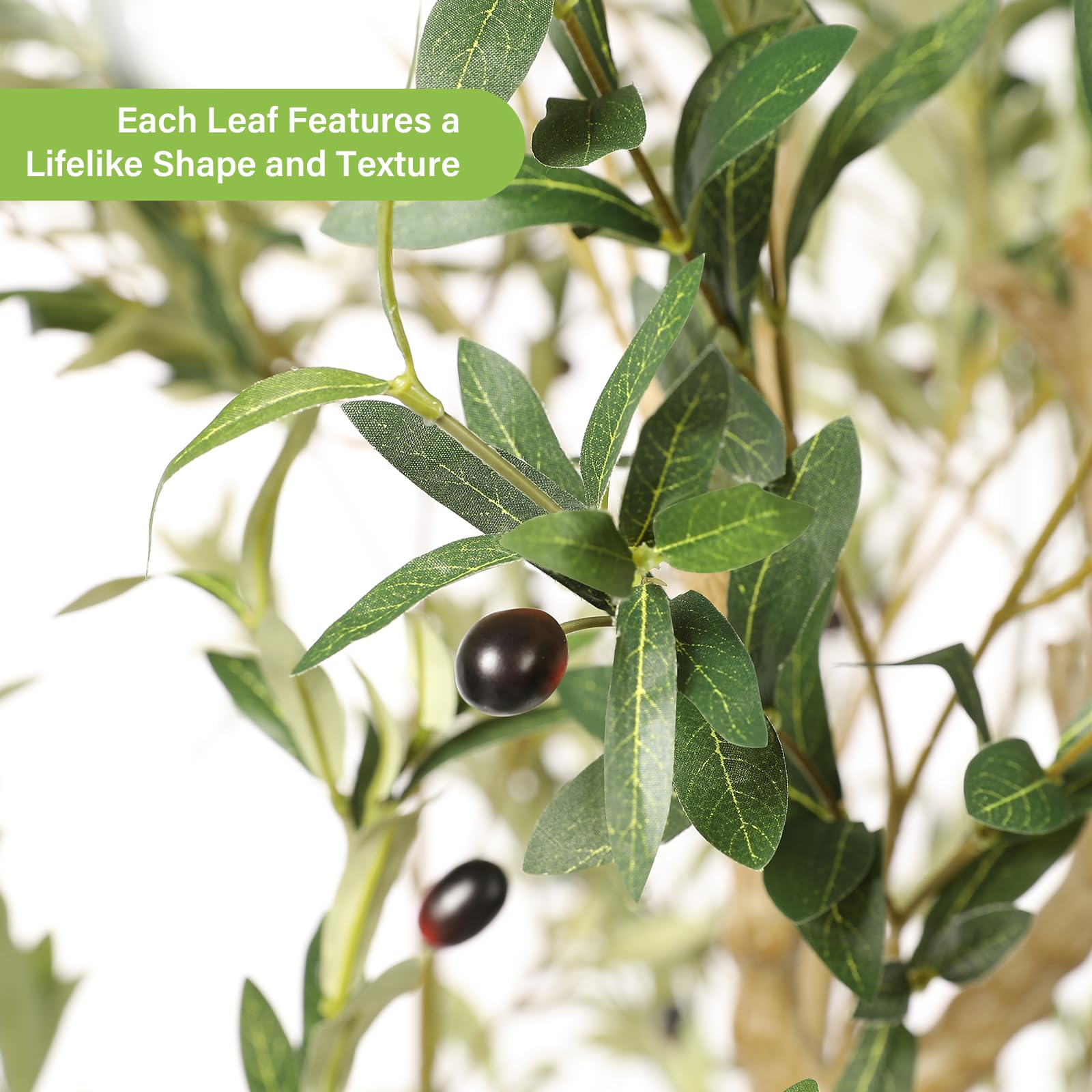 FEELEAD olive tree 7ft trunk detail highlights natural wood look