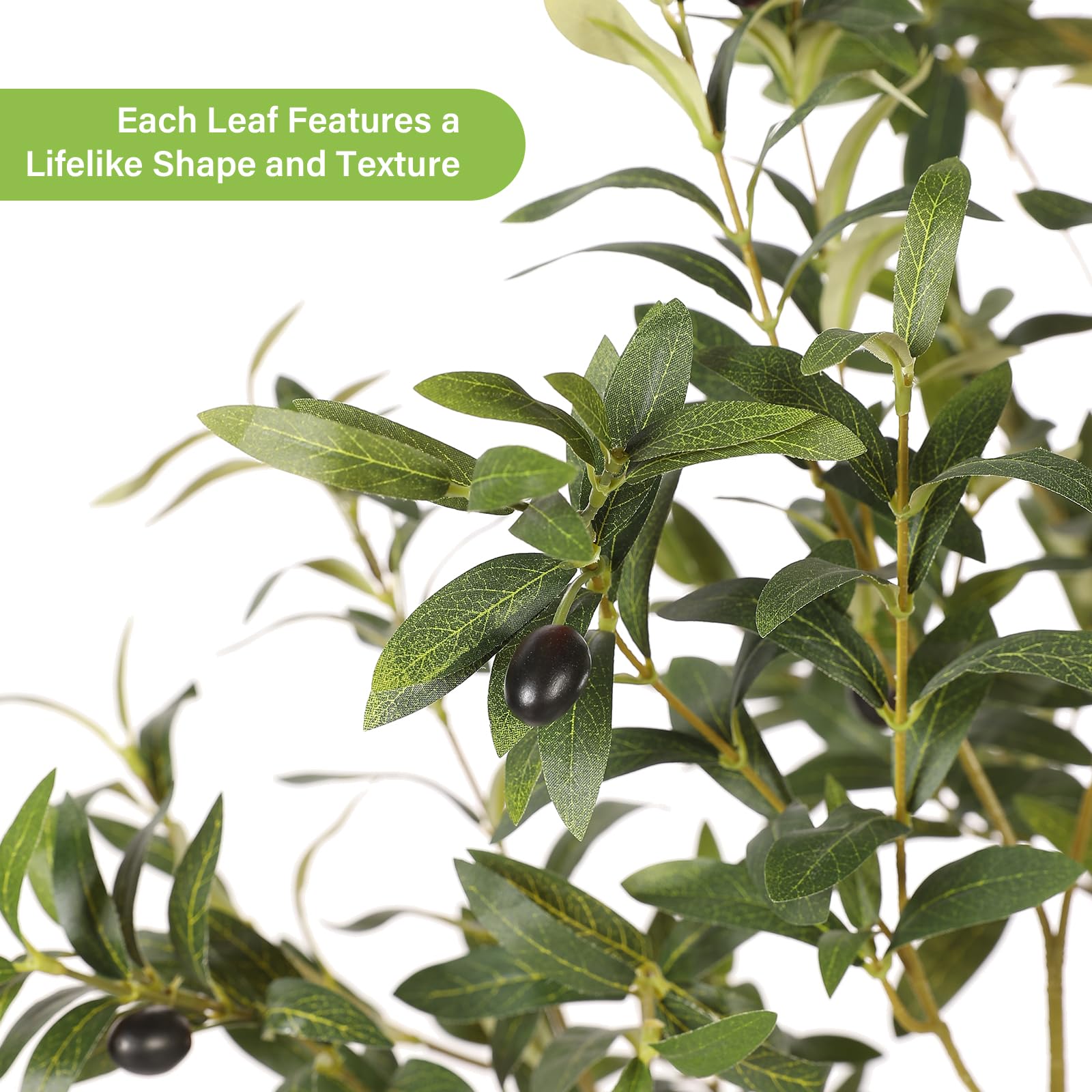 FEELEAD olive-tree close-up leaves showing lifelike color and texture