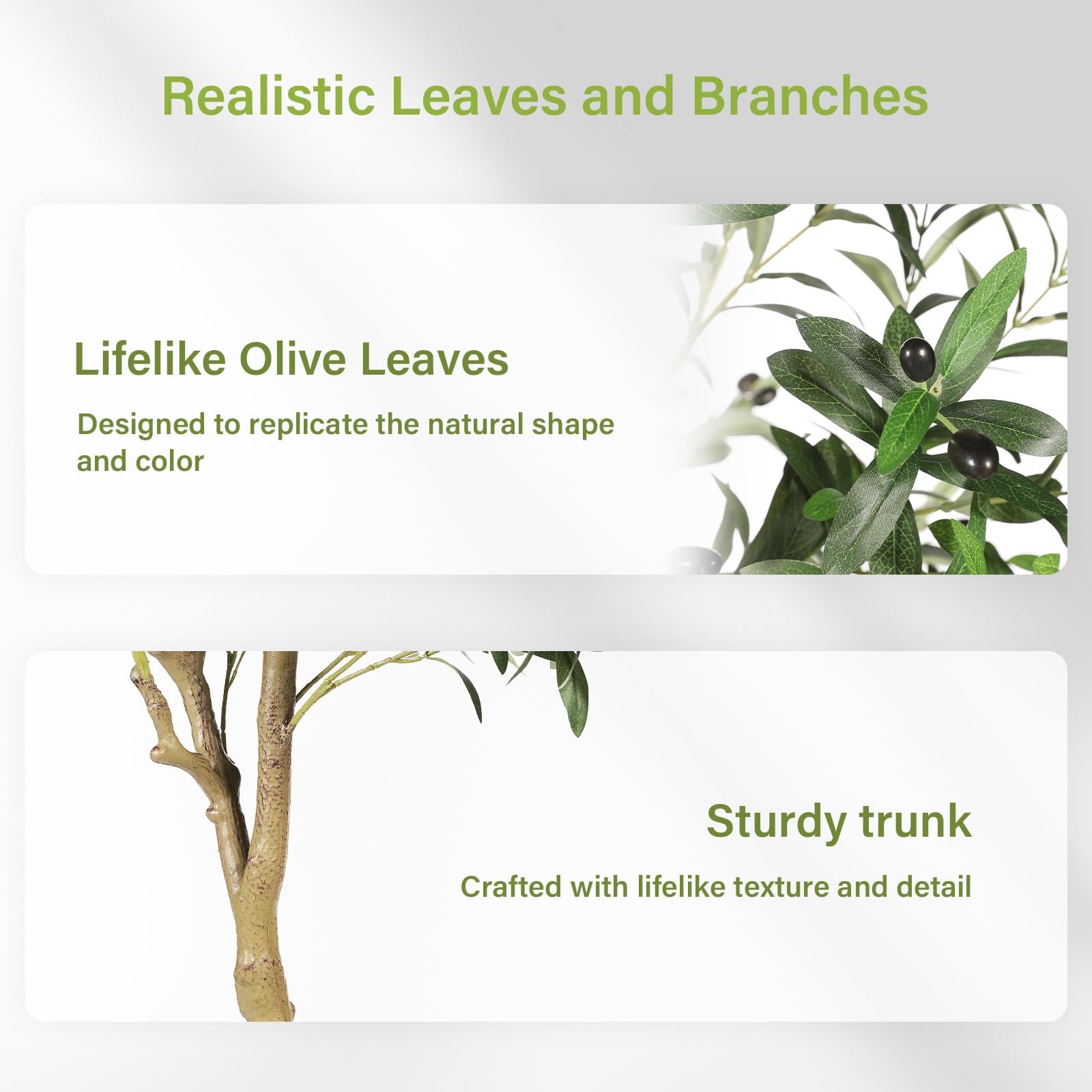 FEELEAD olive tree in living room showcases height and presence.
