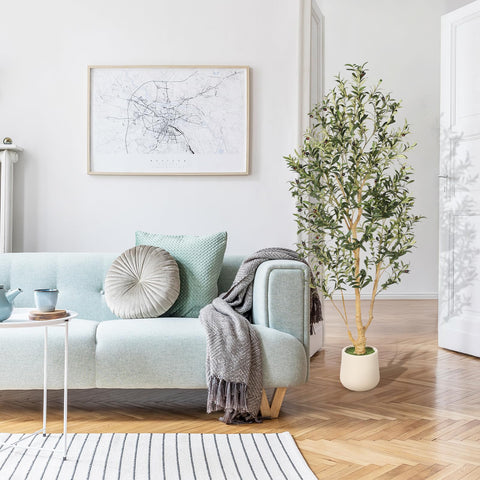 FEELEAD olive tree in planter placed in a living room setting