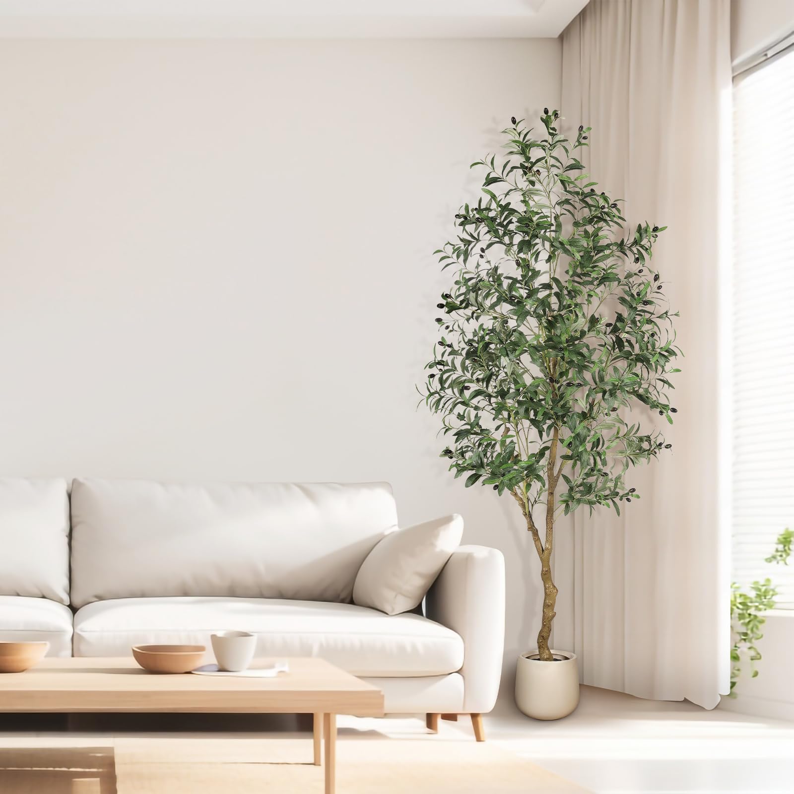 FEELEAD olive tree office decor calm sophisticated workspace ambiance.