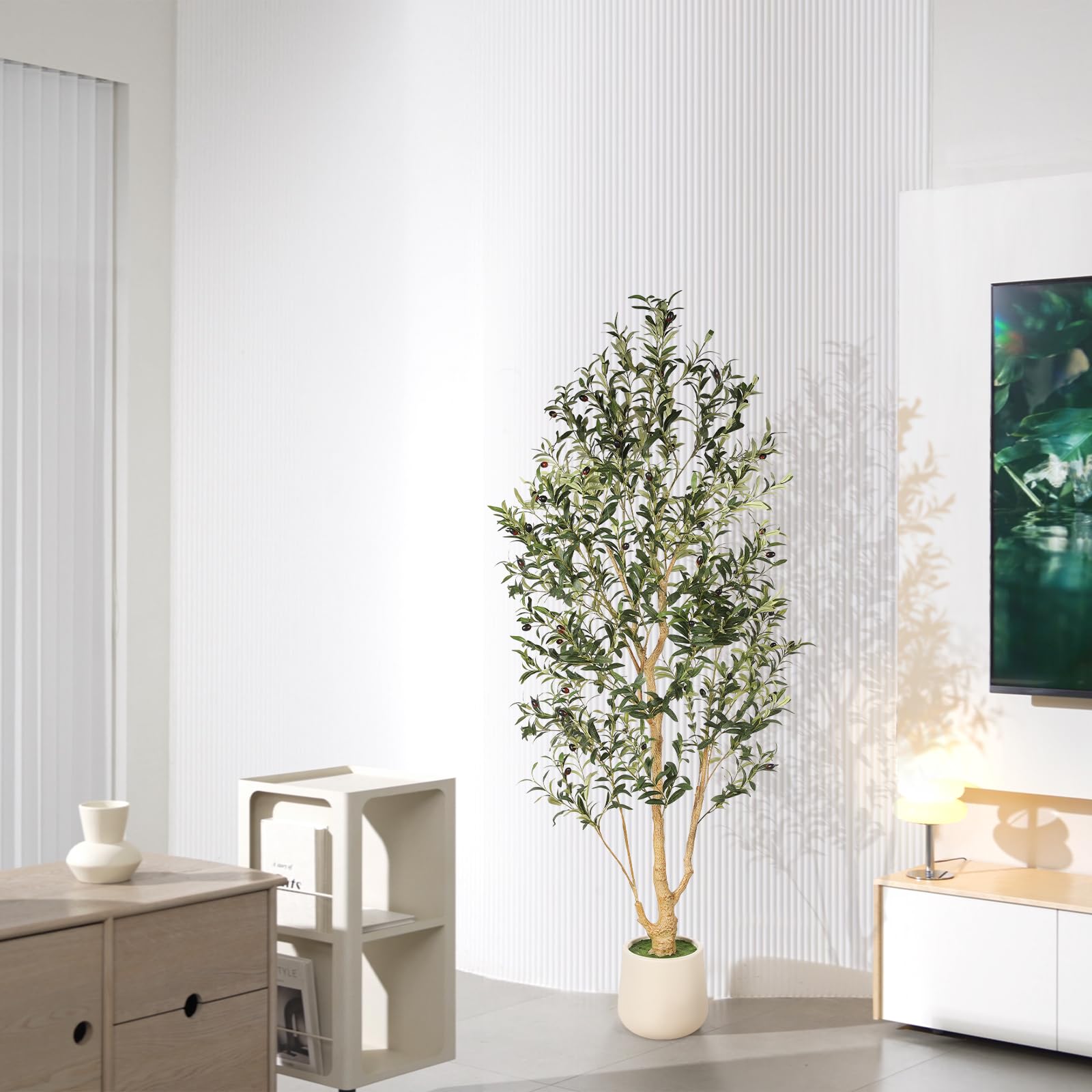 FEELEAD olive tree in an office space as decorative decor