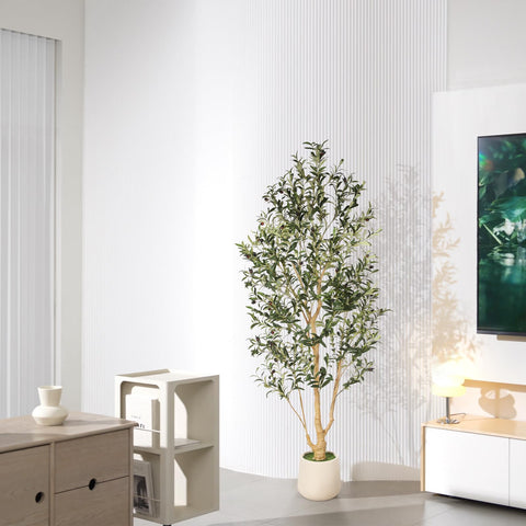 FEELEAD olive tree in an office space as decorative decor