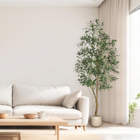 FEELEAD olive tree office decor calm sophisticated workspace ambiance.
