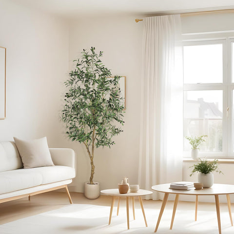 FEELEAD olive tree profile view slim footprint fits hallways and desks.