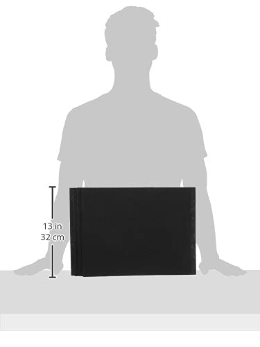 Fellowes carbon filter close-up with activated carbon layer, odor removal potential