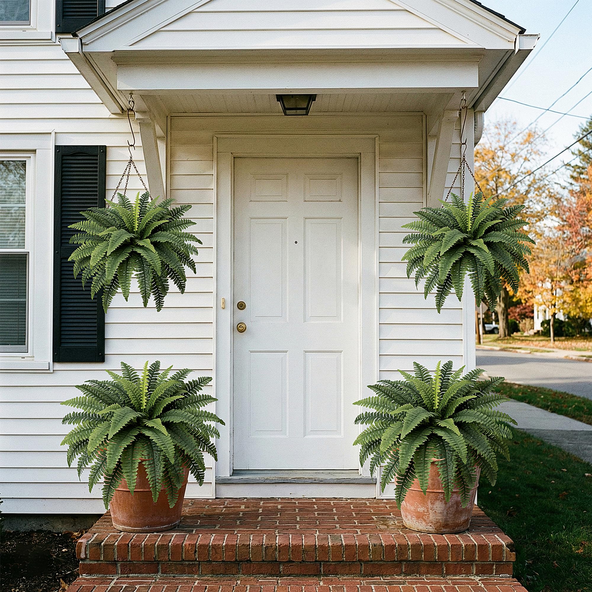 Fely bely easy-care ferns require no watering or pruning for year-round appeal.