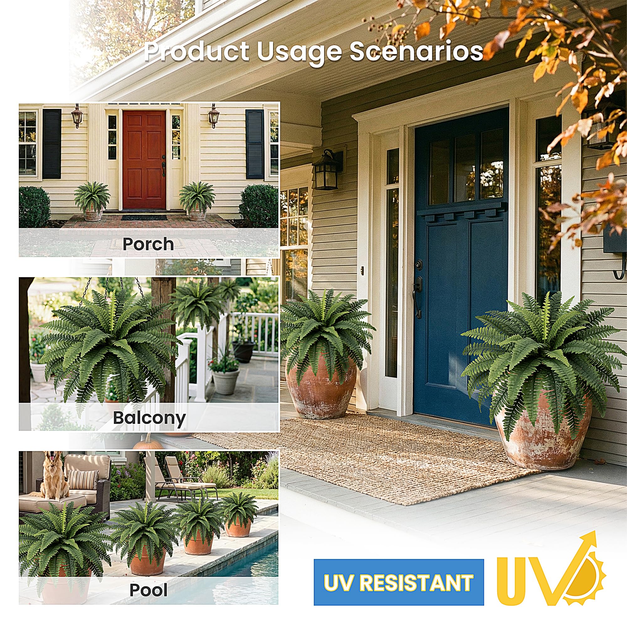 Fely bely outdoor-ready fern adds lush flair to patios and entryways.