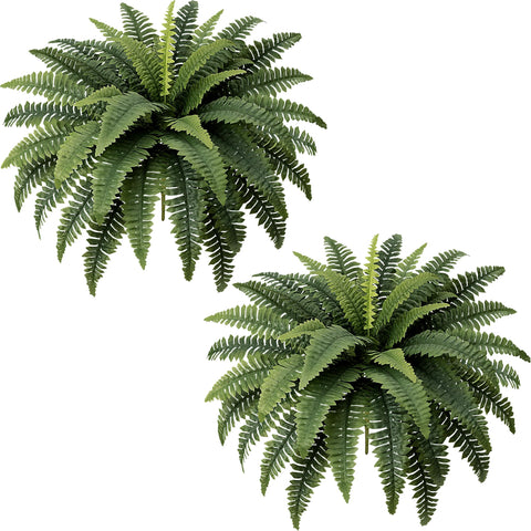 Fely bely two large Boston ferns create lifelike indoor greenery with minimal upkeep.