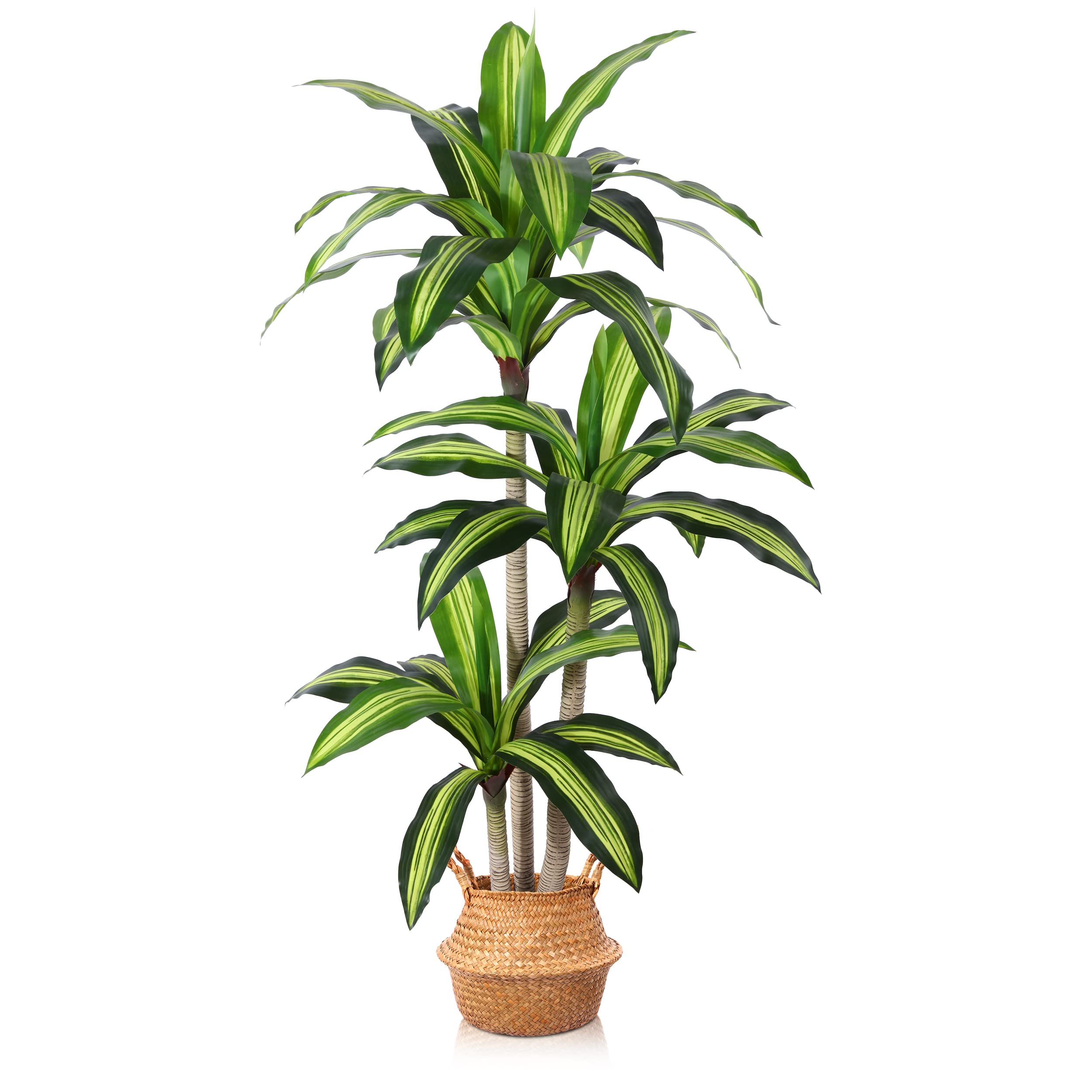 Ferrgoal dracaena tree 5ft in-room view shows a lifelike, maintenance-free decor option.