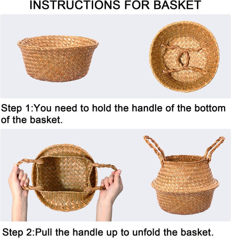 Ferrgoal dracaena tree basket detail emphasizes the woven seagrass base.
