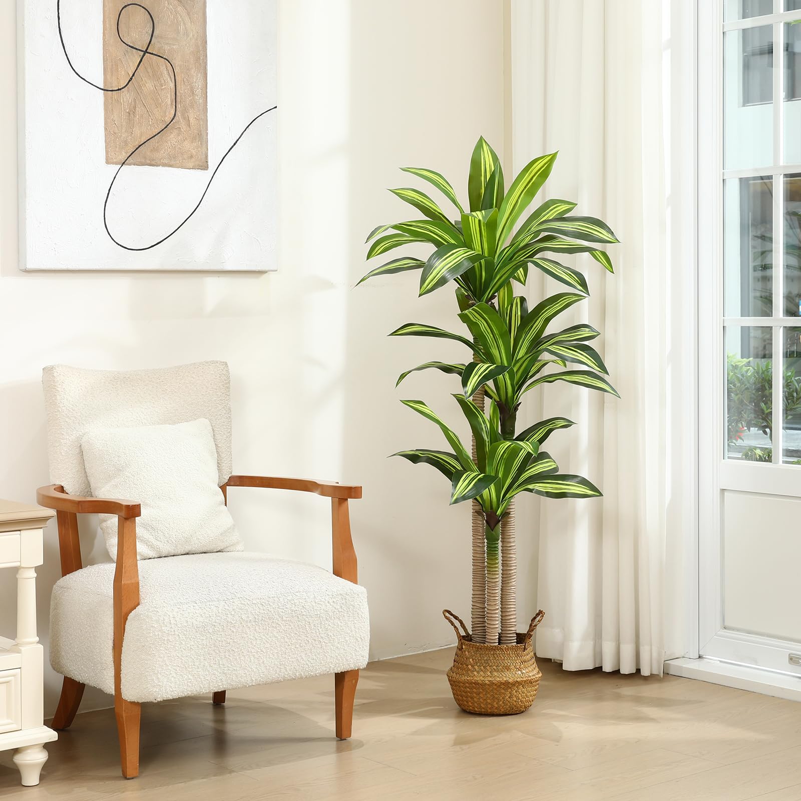 Ferrgoal dracaena tree close-up leaves highlights realistic texture and natural color.