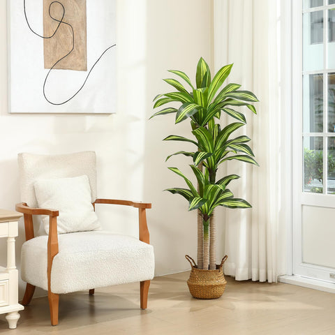 Ferrgoal dracaena tree close-up leaves highlights realistic texture and natural color.