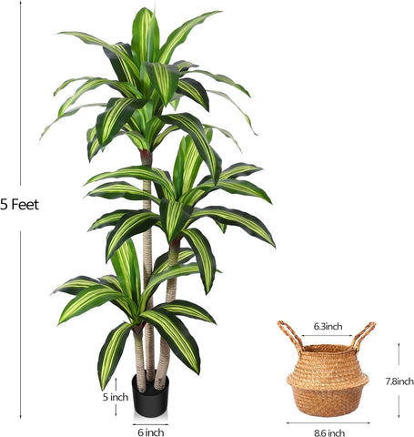 Ferrgoal dracaena tree decor for office adds instant greenery.