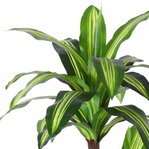 Ferrgoal dracaena tree disassembled packaging enables easy setup.