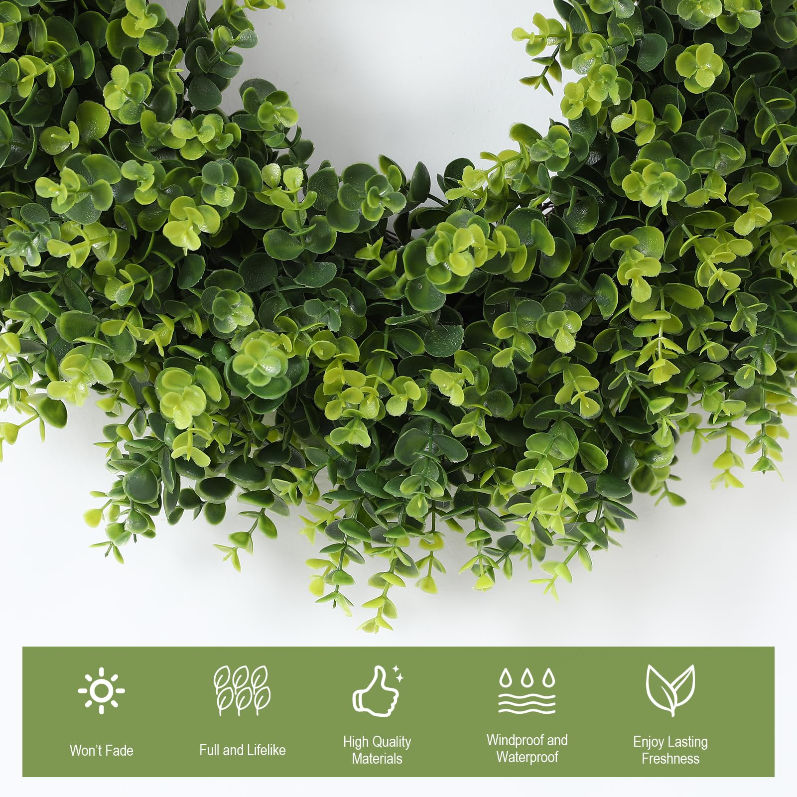 FestalMart boxwood wreath dense leaves ideal for a vibrant spring entrance.