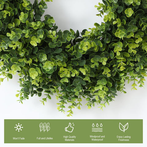FestalMart boxwood wreath dense leaves ideal for a vibrant spring entrance.