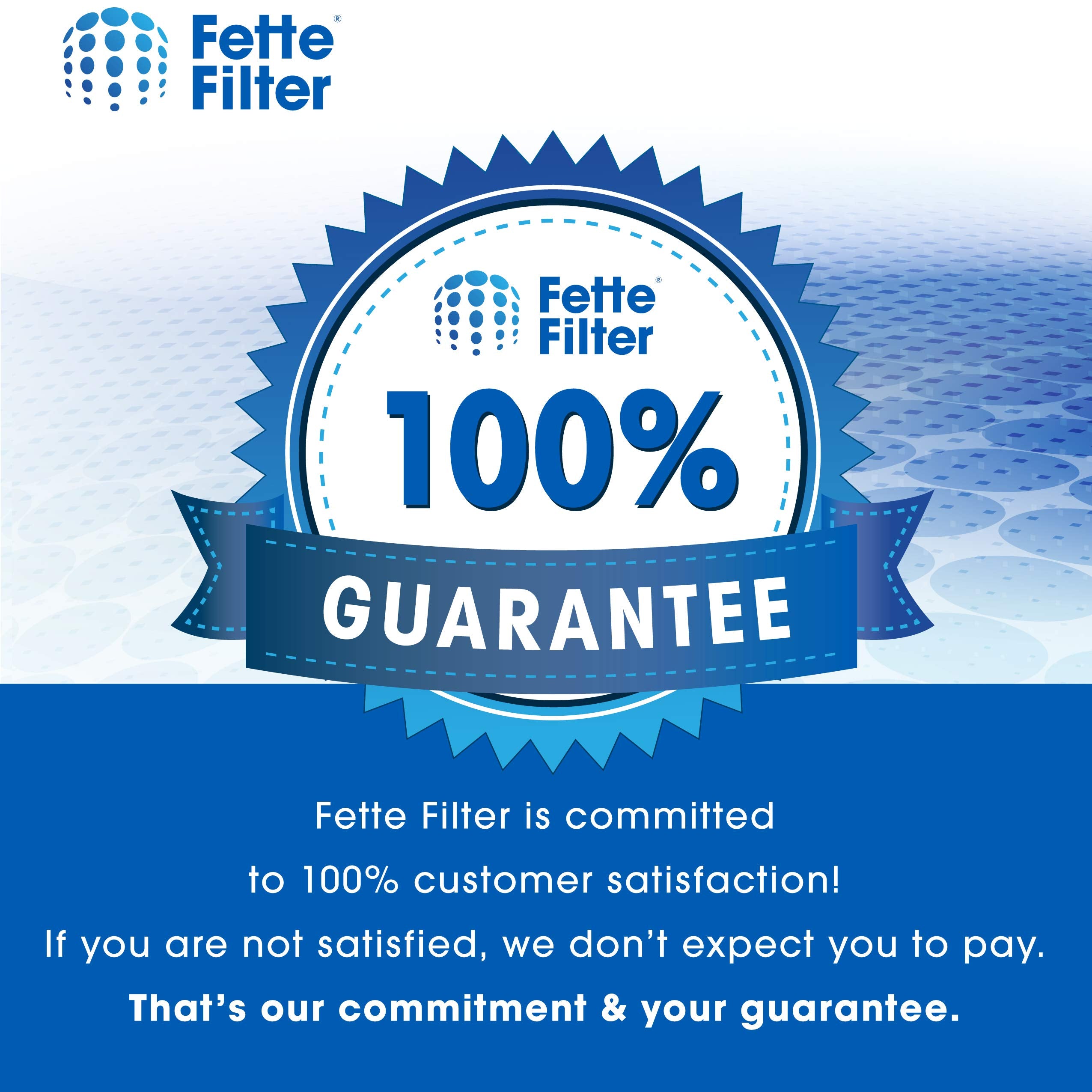 Fette Filter first-gen Dyson desk purifier 308033-01 compatible filter supports steady airflow.