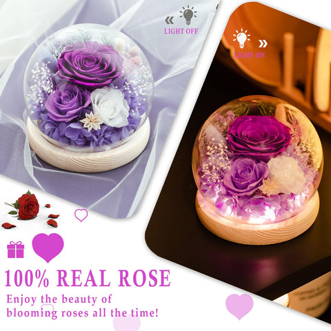 FIACO anniversary rose-dome gift suitable for a meaningful celebration.