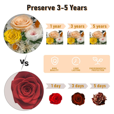 FIACO eco-friendly preserved flower offering durable decor with a smaller footprint.