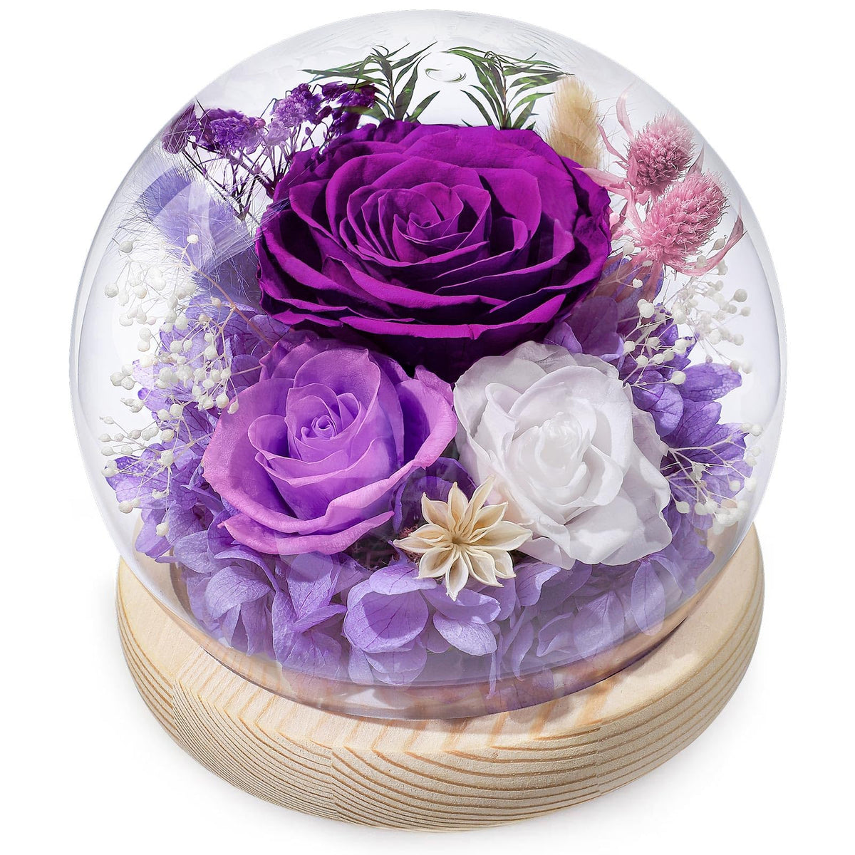 FIACO eternal-rose-dome with LED light showcasing long-lasting beauty.