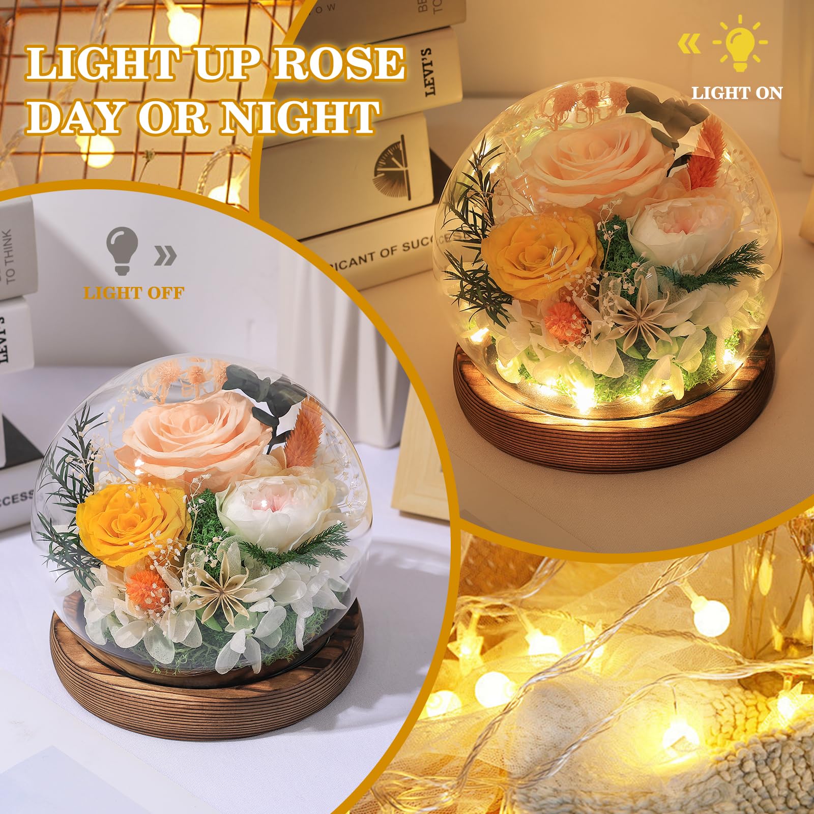 FIACO glass dome display with illuminated rose, ideal for gift-ready ambiance.
