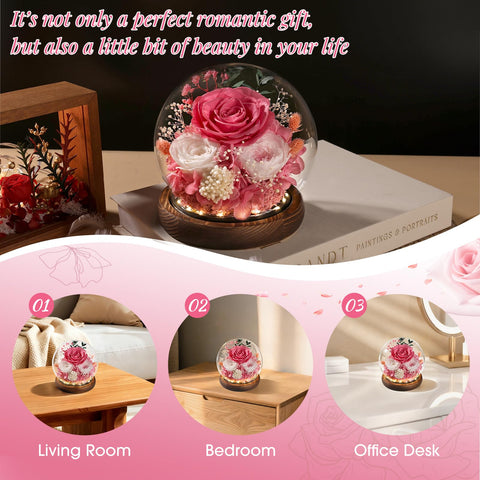 FIACO long-lasting rose designed to stay vibrant for 3-5 years.