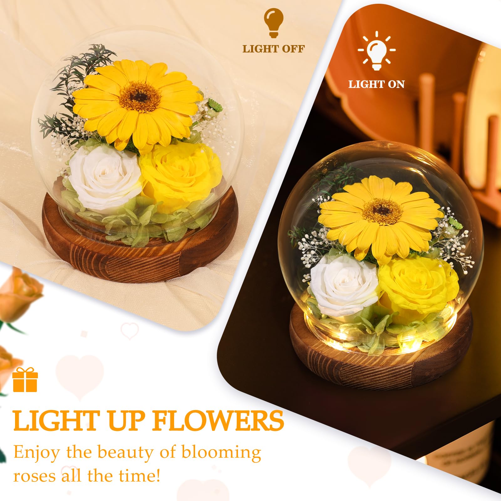 FIACO maintenance-free everlasting flower saves watering and mess.