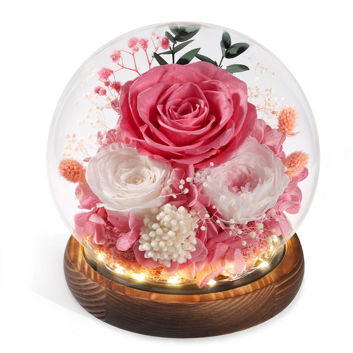 FIACO preserved rose under glass dome with pink petals for lasting beauty.
