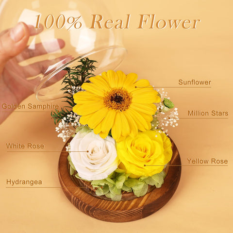 FIACO sunflowers glow softly with warm LED light inside the glass dome.
