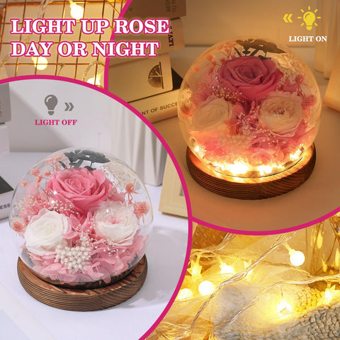 FIACO wooden base displays the bloom with natural, rustic charm.