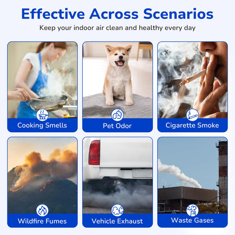 Fil-Fresh 115115 value bundle in use image depicting ongoing air purification.