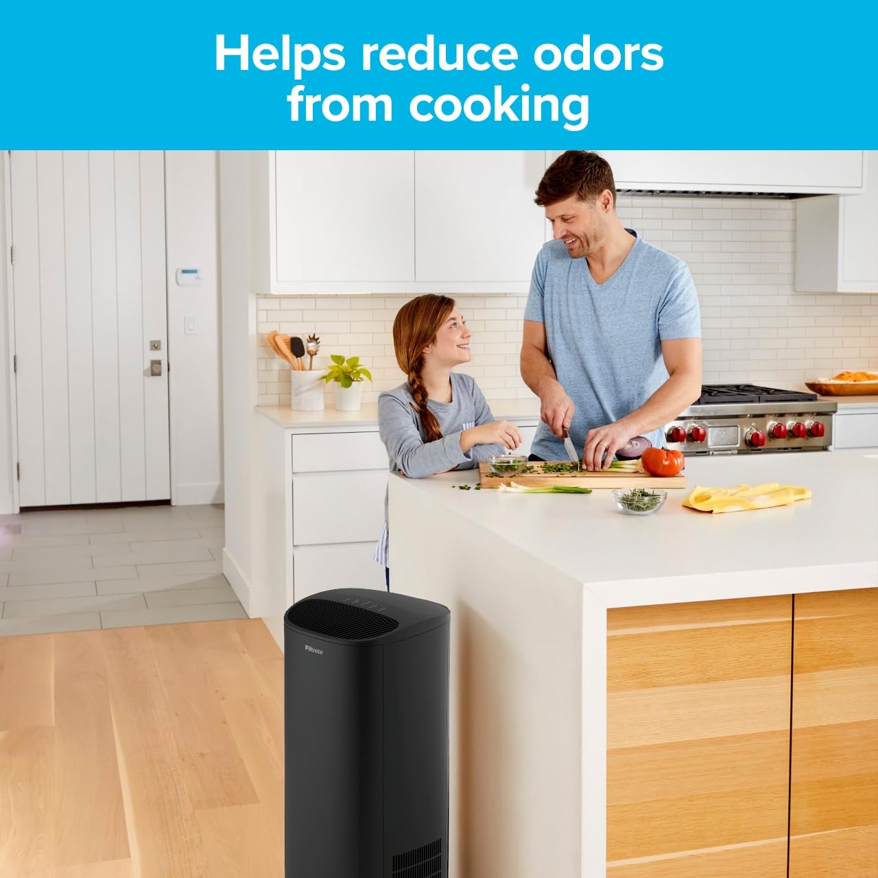 Filtrete F2 filter captures dust and pollen for healthier indoor air